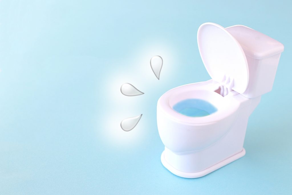トイレの水漏れの症状と修理方法の選び方